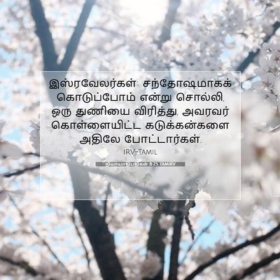 Picture 07 - நியாயாதிபதிகள் 8:25 TAMIRV - இஸ்ரவேலர்கள்: - Bible Verse Picture