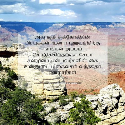 Picture 07 - நியாயாதிபதிகள் 8:6 TAMIRV - அதற்குச் - Bible Verse Picture