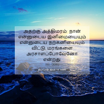 Picture 07 - நியாயாதிபதிகள் 9:11 TAMIRV - அதற்கு அத்திமரம்: - Bible Verse Picture