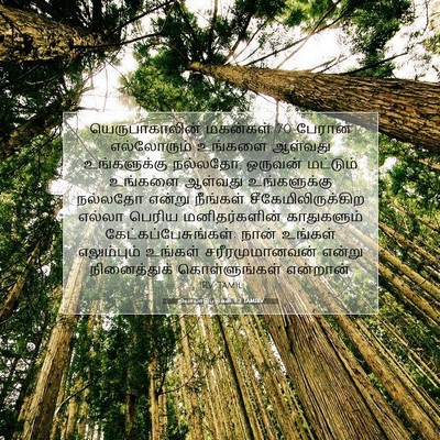 Picture 07 - நியாயாதிபதிகள் 9:2 TAMIRV - யெருபாகாலின் - Bible Verse Picture