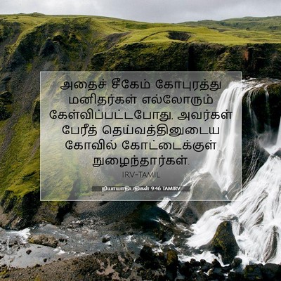 Picture 07 - நியாயாதிபதிகள் 9:46 TAMIRV - அதைச் சீகேம் - Bible Verse Picture