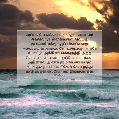 Picture 07 - நியாயாதிபதிகள் 9:49 TAMIRV - அப்படியே எல்லா - Bible Verse Picture