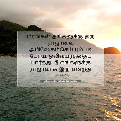 Picture 07 - நியாயாதிபதிகள் 9:8 TAMIRV - மரங்கள் - Bible Verse Picture