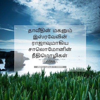 Picture 07 - நீதிமொழிகள் 1:1 TAMIRV - தாவீதின் மகனும் - Bible Verse Picture