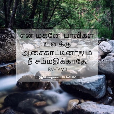 Picture 07 - நீதிமொழிகள் 1:10 TAMIRV - என் மகனே, பாவிகள் - Bible Verse Picture