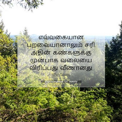 Picture 07 - நீதிமொழிகள் 1:17 TAMIRV - எவ்வகையான - Bible Verse Picture