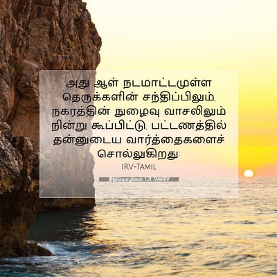 Picture 07 - நீதிமொழிகள் 1:21 TAMIRV - அது ஆள் - Bible Verse Picture