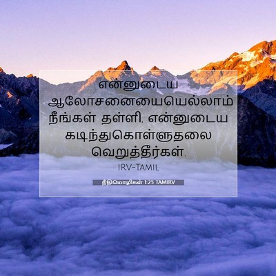 Picture 07 - நீதிமொழிகள் 1:25 TAMIRV - என்னுடைய - Bible Verse Picture