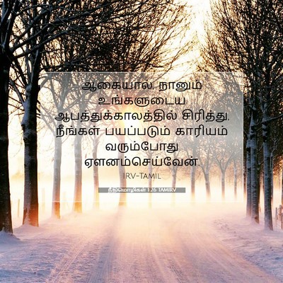 Picture 07 - நீதிமொழிகள் 1:26 TAMIRV - ஆகையால், நானும் - Bible Verse Picture