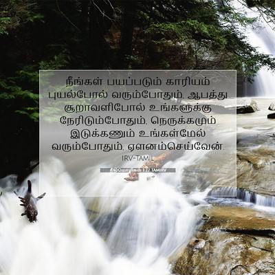 Picture 07 - நீதிமொழிகள் 1:27 TAMIRV - நீங்கள் பயப்படும் - Bible Verse Picture