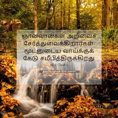 Picture 07 - நீதிமொழிகள் 10:14 TAMIRV - ஞானவான்கள் - Bible Verse Picture
