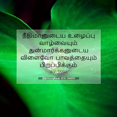 Picture 07 - நீதிமொழிகள் 10:16 TAMIRV - நீதிமானுடைய - Bible Verse Picture