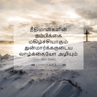 Picture 07 - நீதிமொழிகள் 10:28 TAMIRV - நீதிமான்களின் - Bible Verse Picture