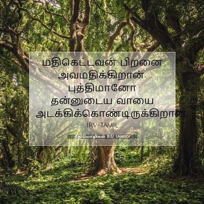 Picture 07 - நீதிமொழிகள் 11:12 TAMIRV - மதிகெட்டவன் பிறனை - Bible Verse Picture