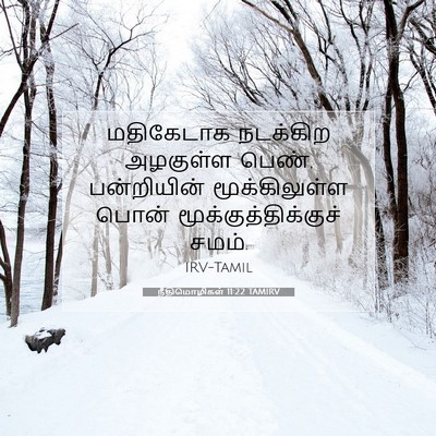 Picture 07 - நீதிமொழிகள் 11:22 TAMIRV - மதிகேடாக நடக்கிற - Bible Verse Picture