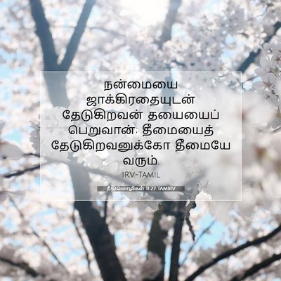 Picture 07 - நீதிமொழிகள் 11:27 TAMIRV - நன்மையை - Bible Verse Picture