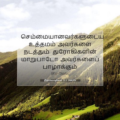 Picture 07 - நீதிமொழிகள் 11:3 TAMIRV -  - Bible Verse Picture