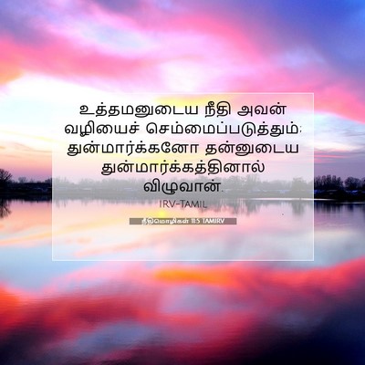 Picture 07 - நீதிமொழிகள் 11:5 TAMIRV - உத்தமனுடைய நீதி - Bible Verse Picture