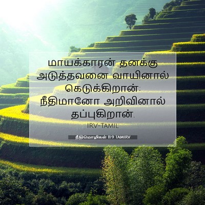 Picture 07 - நீதிமொழிகள் 11:9 TAMIRV - மாயக்காரன் தனக்கு - Bible Verse Picture