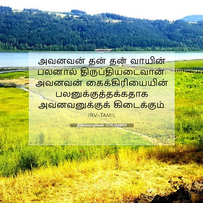 Picture 07 - நீதிமொழிகள் 12:14 TAMIRV - அவனவன் தன் தன் - Bible Verse Picture