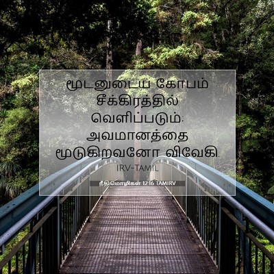 Picture 07 - நீதிமொழிகள் 12:16 TAMIRV - மூடனுடைய கோபம் - Bible Verse Picture
