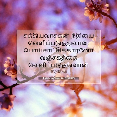 Picture 07 - நீதிமொழிகள் 12:17 TAMIRV - சத்தியவாசகன் - Bible Verse Picture