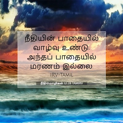 Picture 07 - நீதிமொழிகள் 12:28 TAMIRV - நீதியின் பாதையில் - Bible Verse Picture