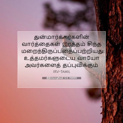 Picture 07 - நீதிமொழிகள் 12:6 TAMIRV -  - Bible Verse Picture