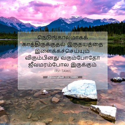 Picture 07 - நீதிமொழிகள் 13:12 TAMIRV - நெடுங்காலமாகக் - Bible Verse Picture