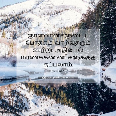 Picture 07 - நீதிமொழிகள் 13:14 TAMIRV - ஞானவான்களுடைய - Bible Verse Picture