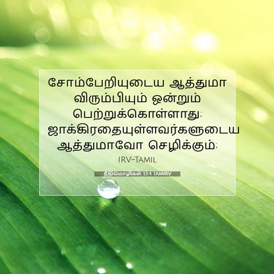 Picture 07 - நீதிமொழிகள் 13:4 TAMIRV - சோம்பேறியுடைய - Bible Verse Picture