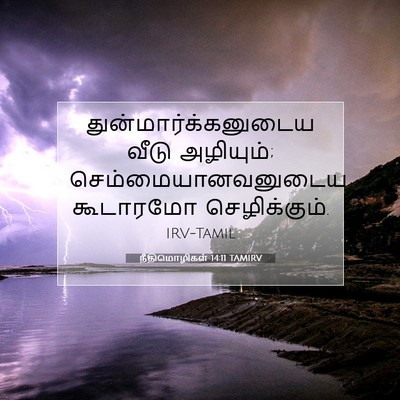 Picture 07 - நீதிமொழிகள் 14:11 TAMIRV - துன்மார்க்கனுடைய - Bible Verse Picture