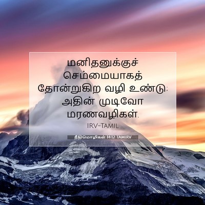 Picture 07 - நீதிமொழிகள் 14:12 TAMIRV - மனிதனுக்குச் - Bible Verse Picture