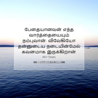 Picture 07 - நீதிமொழிகள் 14:15 TAMIRV - பேதையானவன் எந்த - Bible Verse Picture