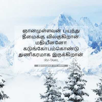 Picture 07 - நீதிமொழிகள் 14:16 TAMIRV - ஞானமுள்ளவன் - Bible Verse Picture
