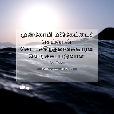 Picture 07 - நீதிமொழிகள் 14:17 TAMIRV - முன்கோபி - Bible Verse Picture