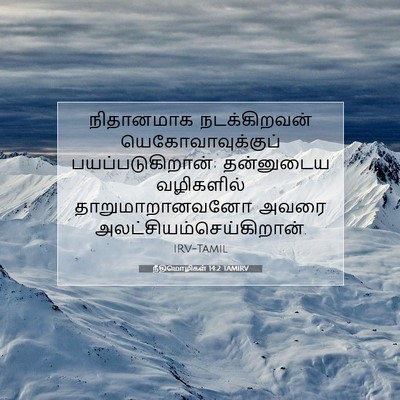 Picture 07 - நீதிமொழிகள் 14:2 TAMIRV - நிதானமாக - Bible Verse Picture