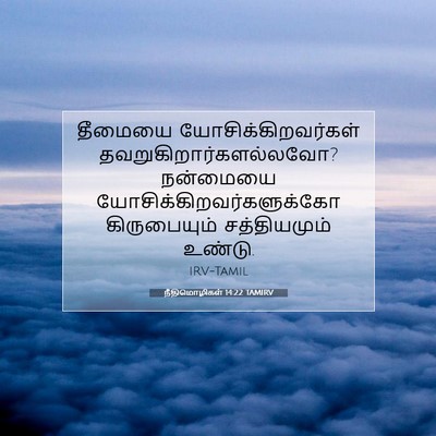 Picture 07 - நீதிமொழிகள் 14:22 TAMIRV - தீமையை - Bible Verse Picture