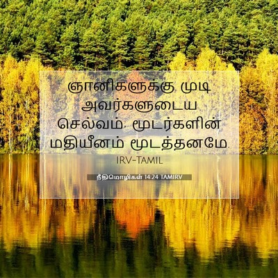 Picture 07 - நீதிமொழிகள் 14:24 TAMIRV - ஞானிகளுக்கு முடி - Bible Verse Picture
