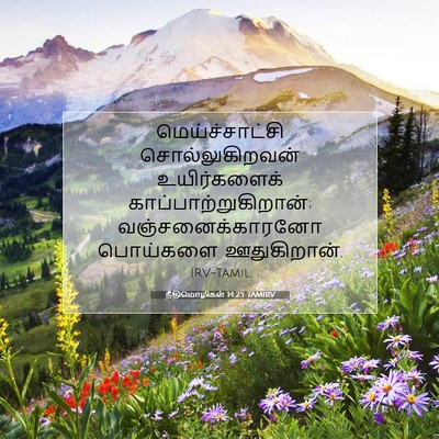 Picture 07 - நீதிமொழிகள் 14:25 TAMIRV - மெய்ச்சாட்சி - Bible Verse Picture