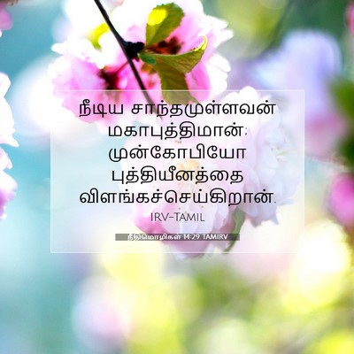 Picture 07 - நீதிமொழிகள் 14:29 TAMIRV - நீடிய - Bible Verse Picture