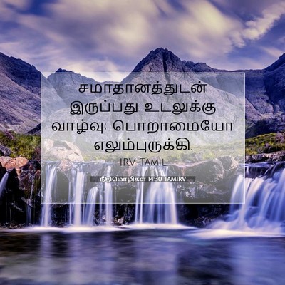 Picture 07 - நீதிமொழிகள் 14:30 TAMIRV - சமாதானத்துடன் - Bible Verse Picture