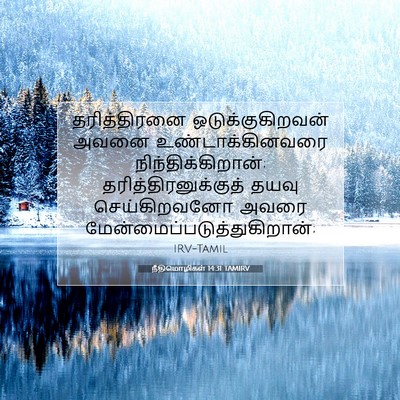 Picture 07 - நீதிமொழிகள் 14:31 TAMIRV - தரித்திரனை - Bible Verse Picture