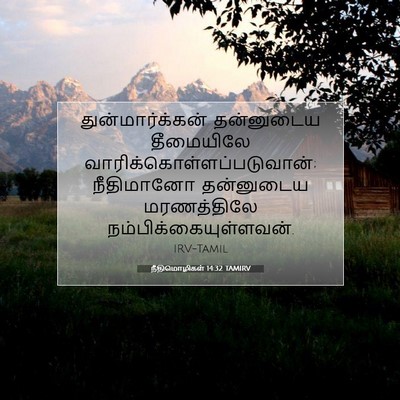 Picture 07 - நீதிமொழிகள் 14:32 TAMIRV - துன்மார்க்கன் - Bible Verse Picture