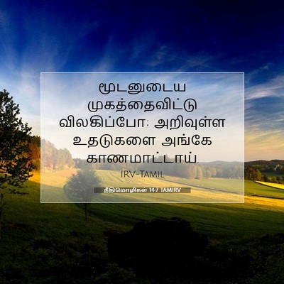 Picture 07 - நீதிமொழிகள் 14:7 TAMIRV - மூடனுடைய - Bible Verse Picture