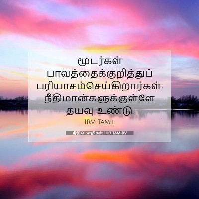 Picture 07 - நீதிமொழிகள் 14:9 TAMIRV - மூடர்கள் - Bible Verse Picture