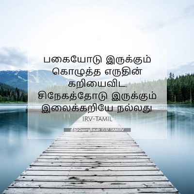 Picture 07 - நீதிமொழிகள் 15:17 TAMIRV - பகையோடு இருக்கும் - Bible Verse Picture