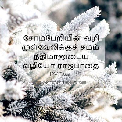 Picture 07 - நீதிமொழிகள் 15:19 TAMIRV - சோம்பேறியின் வழி - Bible Verse Picture