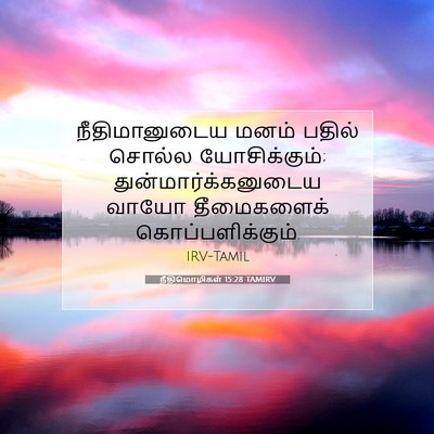 Picture 07 - நீதிமொழிகள் 15:28 TAMIRV - நீதிமானுடைய மனம் - Bible Verse Picture