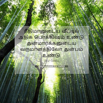 Picture 07 - நீதிமொழிகள் 15:6 TAMIRV - நீதிமானுடைய - Bible Verse Picture